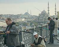Turkey's swine flu toll hits 19: ministry