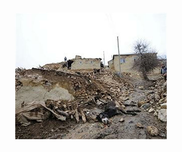 Quake death toll rises to 69 in Turkey