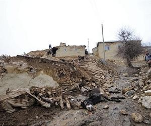 Dozens in hospital after 6.0 quake hits near Turkish resort