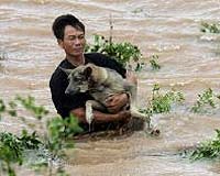 Typhoon Lekima pounds Vietnam, 3 dead