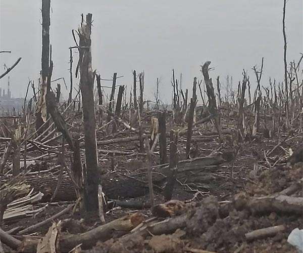 The environment: another victim of Russia's invasion