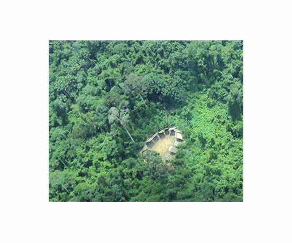 Brazil deploys police as miners flee Yanomami territory