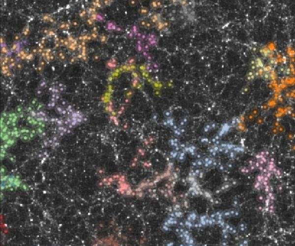 Using AI to capture the invisible in dark matter detection