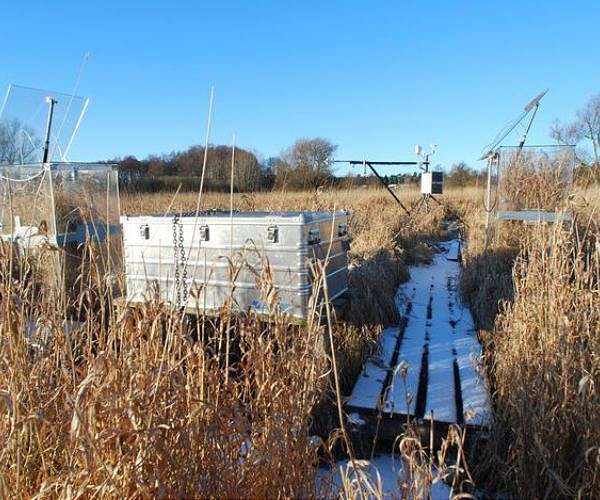 Stable water tables help wetlands curb methane emissions