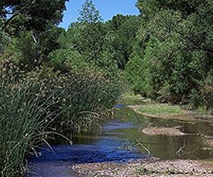 In US, 'rivers on Rolaids' are legacy of acid rain