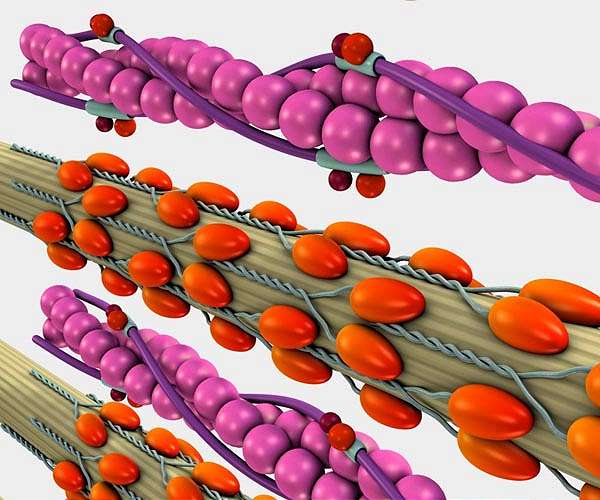 AI untangles one of biology's great challenges