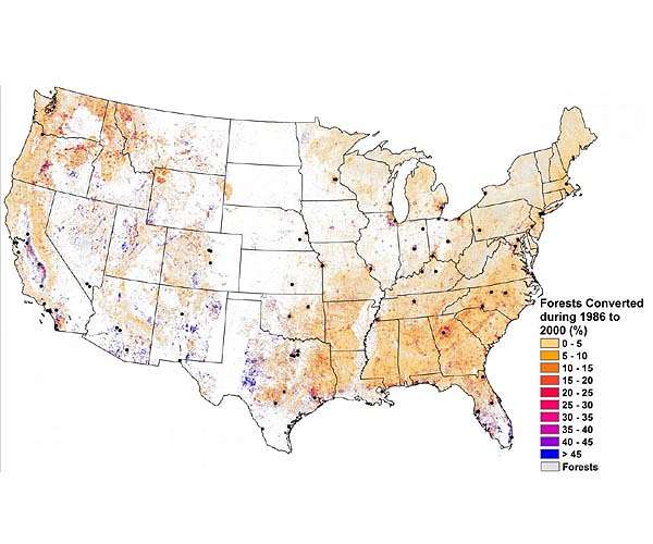 More trees do not always create a cooler planet, Clark University geographer finds