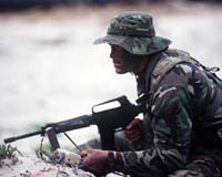 Role of combat in US Army suicides unclear: experts