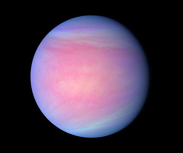 Life could exist in the clouds of Jupiter but not Venus