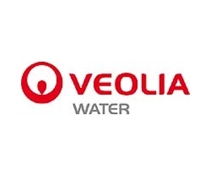 Veolia reports profit fall but shares surge