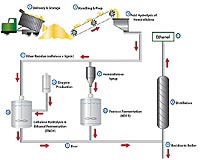 Process Can Cut The Cost Of Making Cellulosic Biofuels