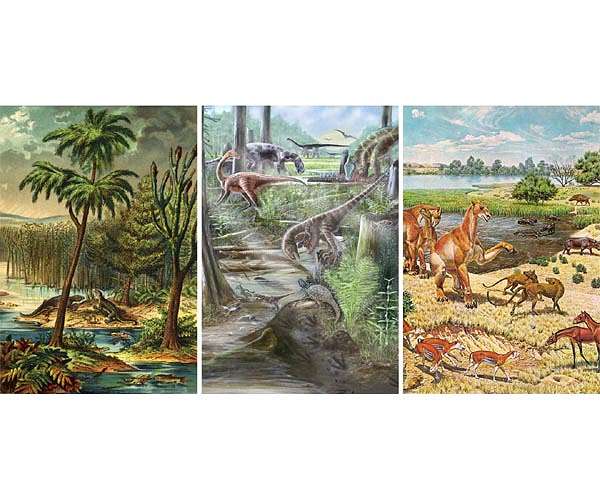Fossilized fish larvae undermine popular theory of vertebrate origins