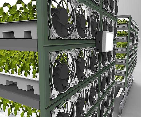 Vertically farmed greens taste as good as organic ones
