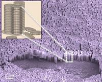 Blades of grass inspire advance in organic solar cells