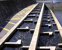 Global fish passage forum to include first symposium on hydropower and fish