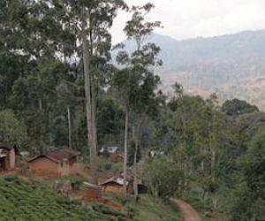 First Global Assessment of Land and Water 'Grabbing'