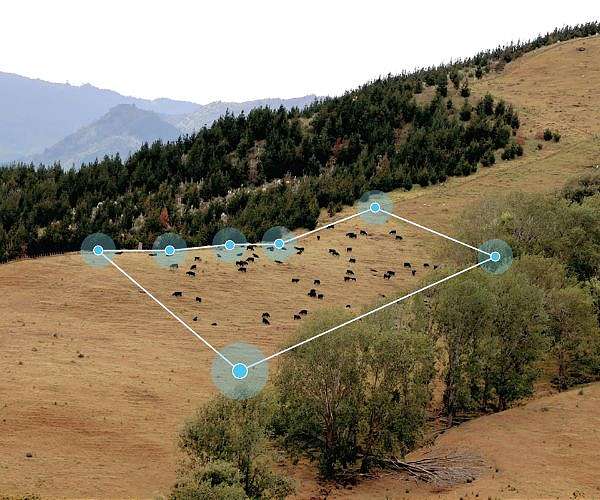 Halter Virtual Fencing revolutionizes cattle management across US