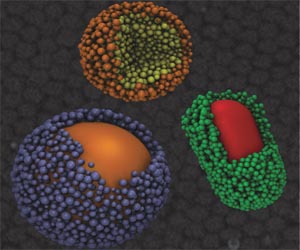 Engineers discover nanoscale balancing act that mirrors forces at work in living systems