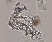 Volcanic ash impact on air travel could be reduced says new research