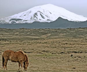 Chinese tycoon still hopes to sign Icelandic land deal