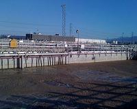 Purple bacteria 'batteries' turn sewage into clean energy