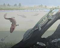 385-million-year-old tree root reveals world's oldest modern forest