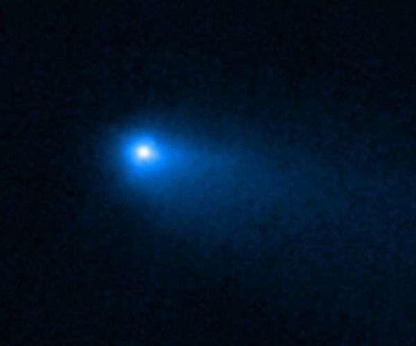 Webb finds water, and a new mystery, in rare main-belt comet