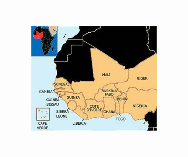 W.African states call for Mali polls in February, eye sanctions