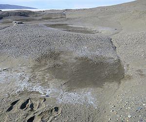 Antarctic salty soil sucks water out of atmosphere: Could it happen on Mars?