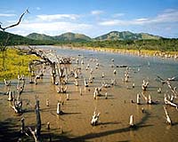 Calif. marsh returns to life after century
