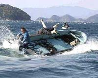 Whale Free At Sea After Japanese Fisherman Dies Helping