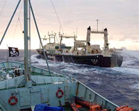 Japanese Factory Whaling Ship On Fire Off Antarctica Crewman Missing
