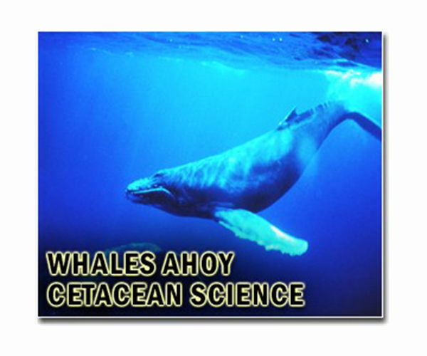 Russia closes notorious 'whale jail'