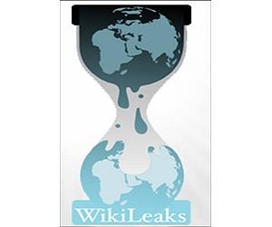 Investigators link WikiLeaks suspect to Assange