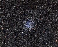 Wild ducks take flight in open cluster