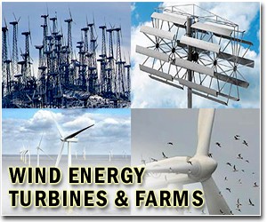 China's wind power sector faces challenges