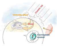 Winter monsoons became stronger during geomagnetic reversal