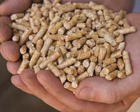 Rising Demand In Europe For Wood Pellets As Alternative Fuel