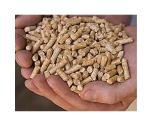 Wales wood pellet biomass effort advances