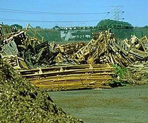 NC State Study Offers Insight Into Converting Wood to Bio-Oil