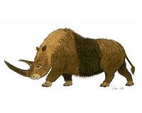 Genomic analysis suggests climate change caused the extinction of wooly rhinos