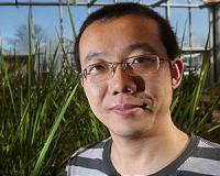 Transgenic plants' 'die and let live' strategy dramatically increases drought resistance