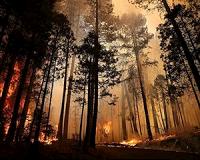 Yosemite forest fire example of possible things to come