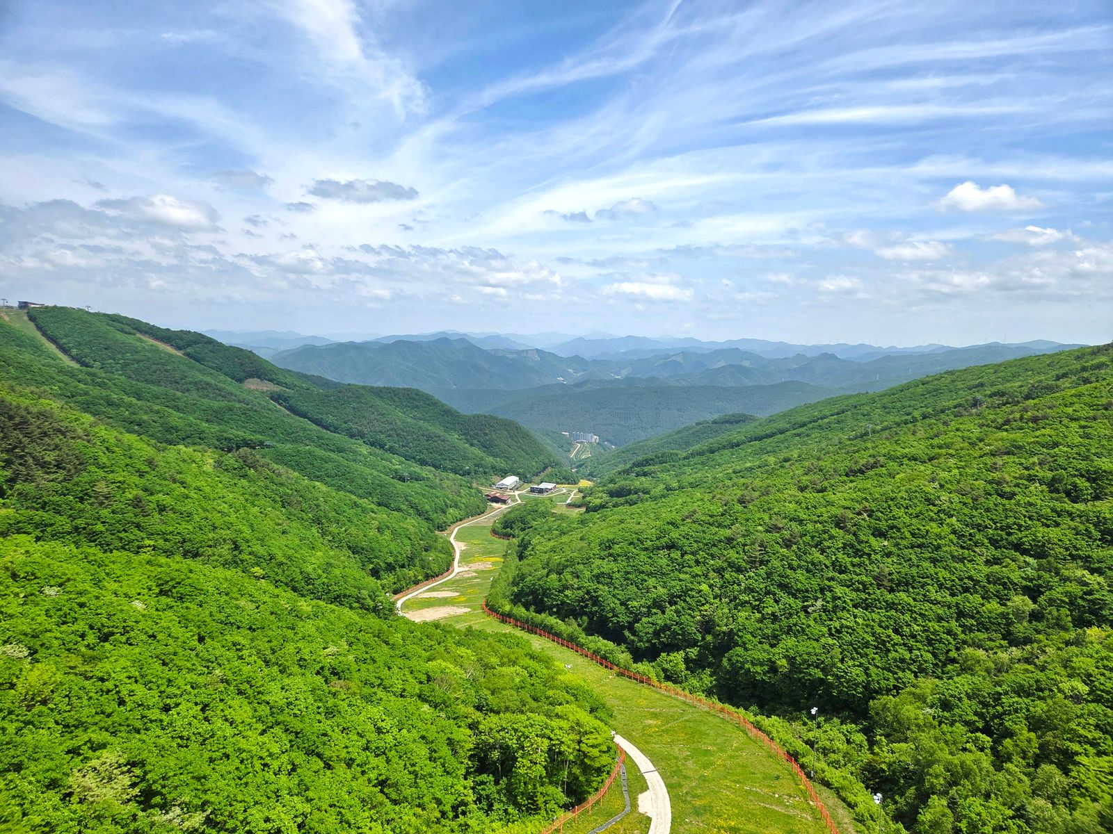 Korean peninsula satellite forest