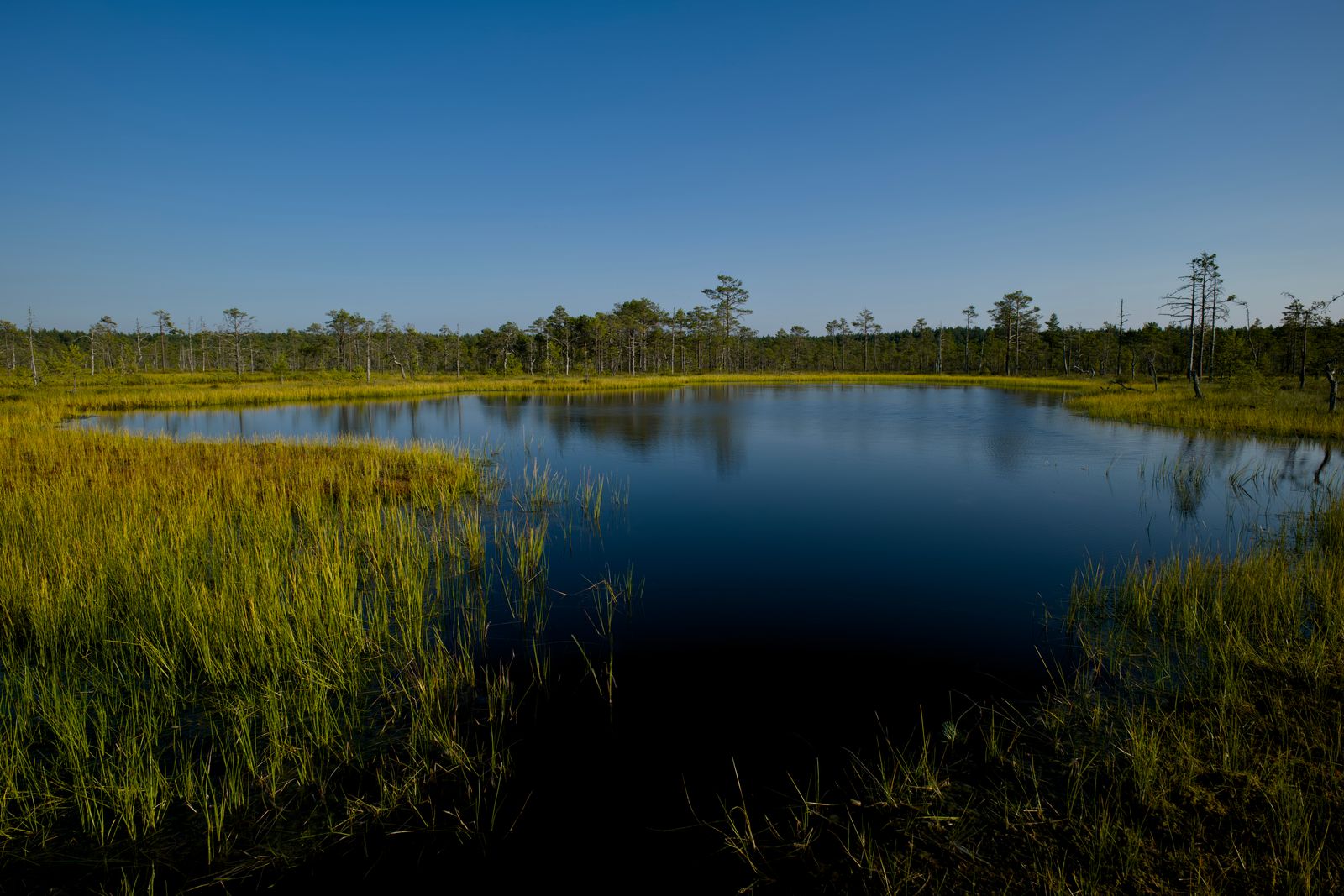 drained peatland ditch