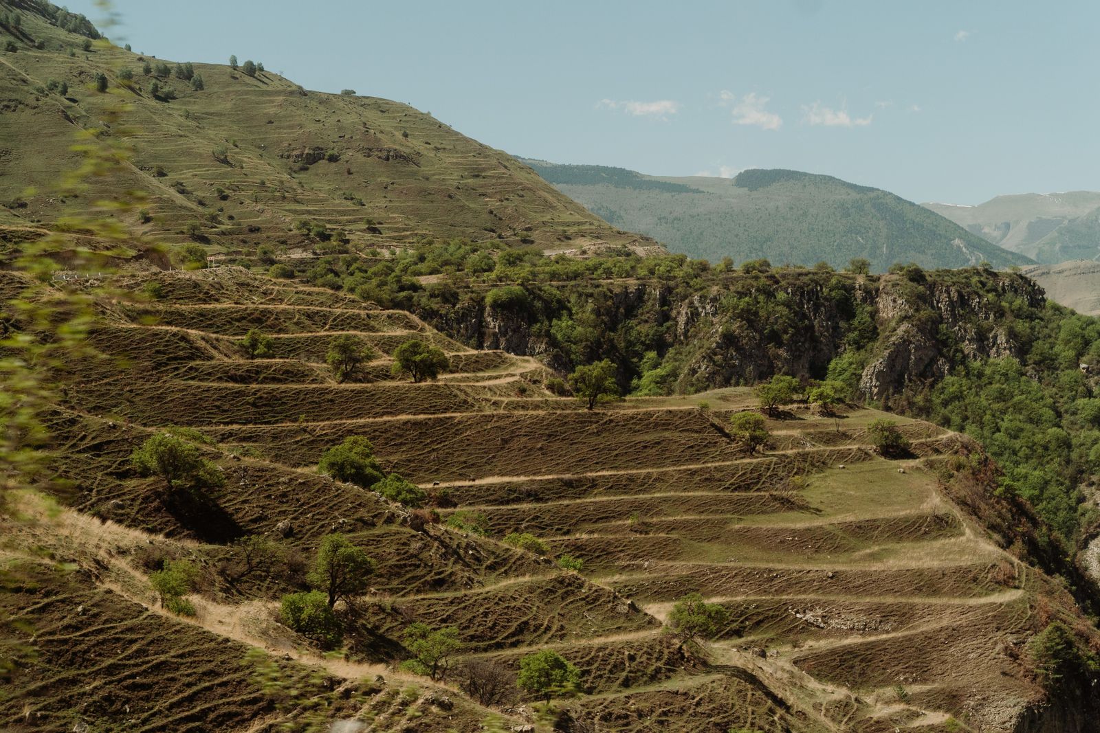 How did a Chinese plateau bigger than France, shedding 1.6 billion tonnes of silt a year into a river it stained yellow, cut that load to roughly a fifth within a single generation?