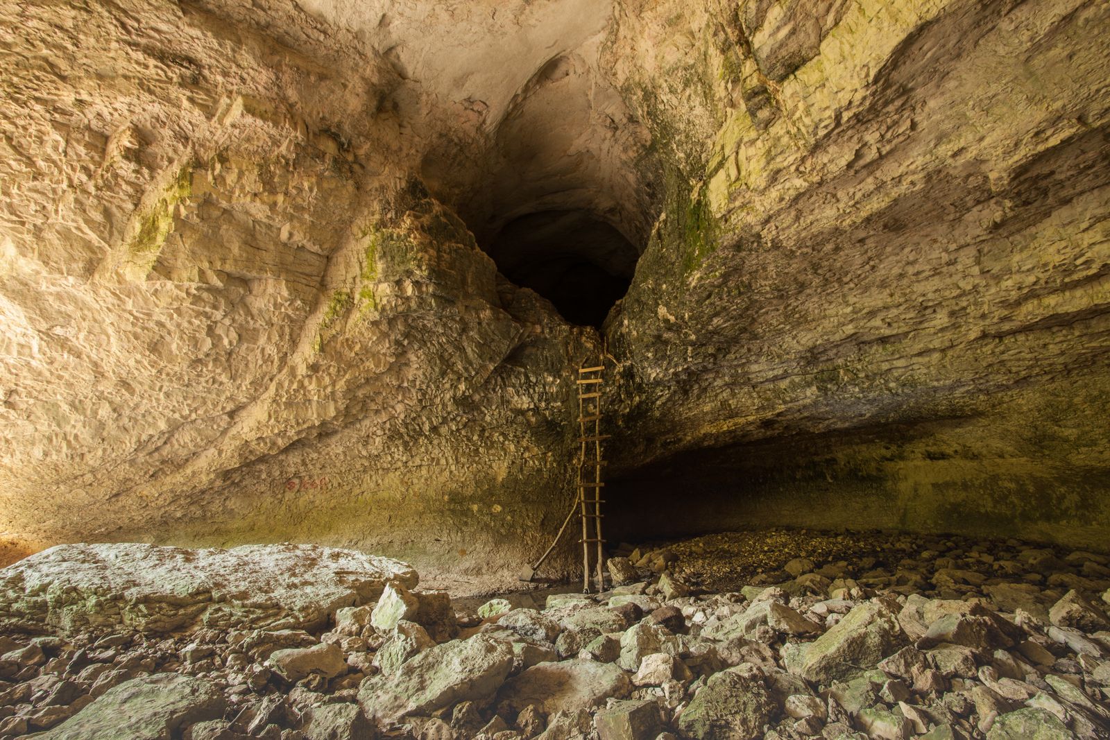 How did a sealed limestone cave in eastern Europe stay cut off from the surface for 5.5 million years and grow a food web fed by chemistry instead of sunlight?