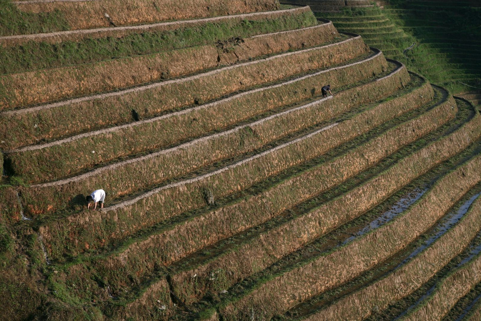 Loess Plateau terraces