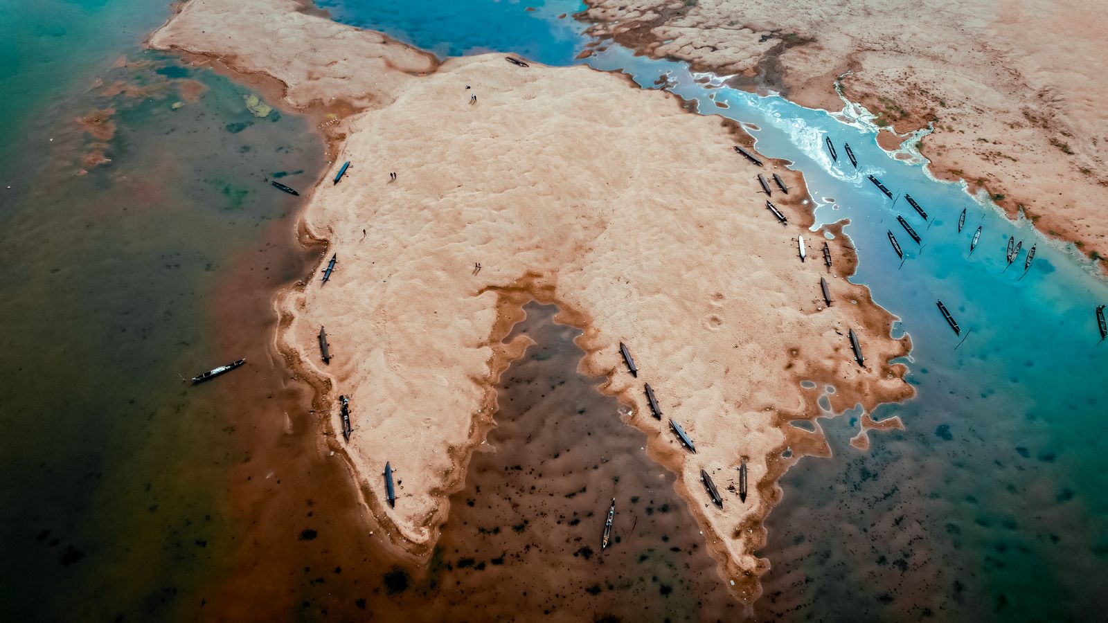 What happened when a South Asian delta nation, battered by a 1991 cyclone that killed roughly 138,000 people, planted a living green wall of salt-tolerant trees along its coast?