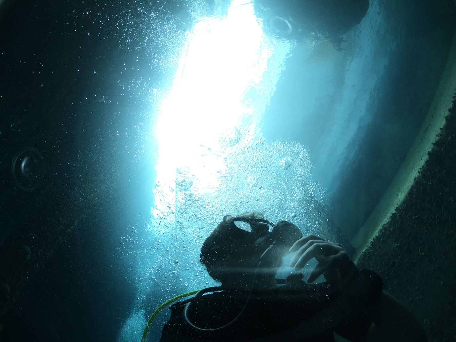 Between 2020 and 2024, a Chinese-led team used the submersible Fendouzhe to survey seven hadal regions in the Indo-Pacific and found rich protist-dominated communities living on rocks more than nine kilometres down, where hard-substrate life had been largely unknown